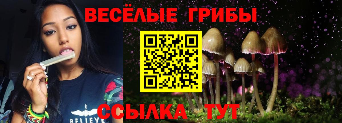 Лесосибирск  Галлюциногенные грибы прущие грибы  наркотики  Галлюциногенные грибы Magic Shrooms  Вход с VPN 