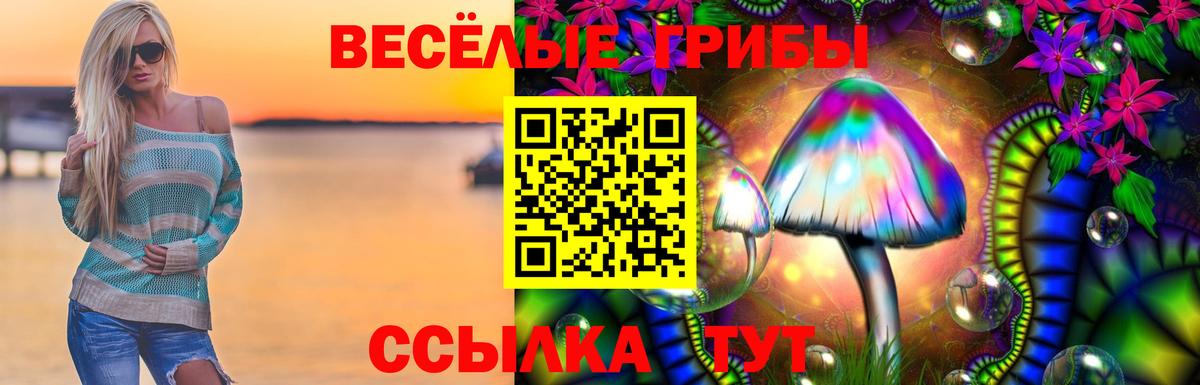 Галлюциногенные грибы ЛСД Лесосибирск